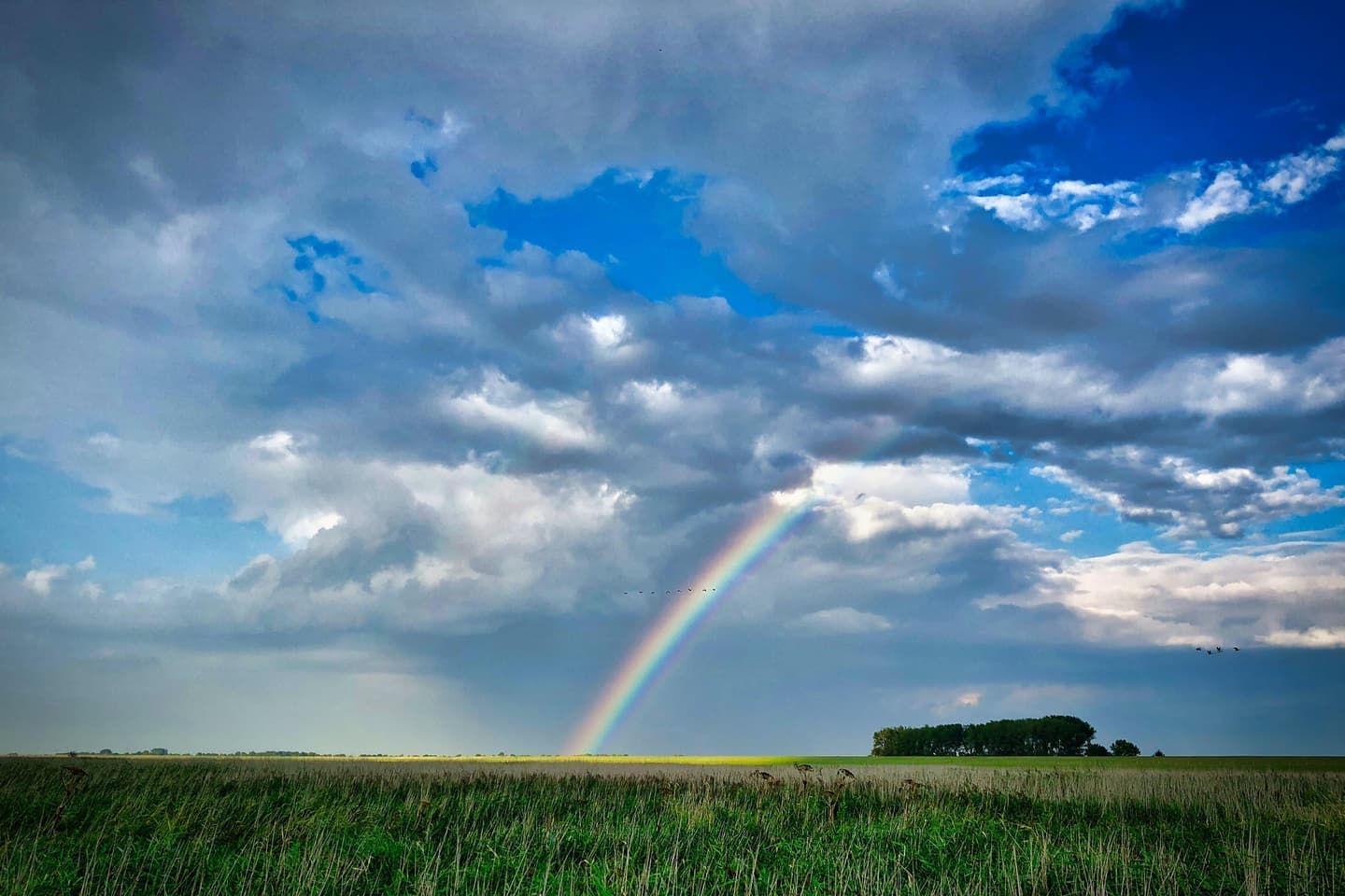 ARCHIVE street cover